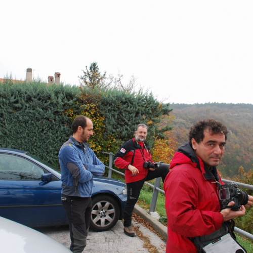 Esercitazione in Val Rosandra n. 20 / 58352