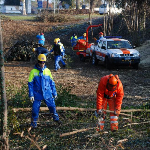Esercitazione 19/11 n. 12 / 72886