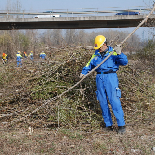 Intervento alveo Torre nelle vicinanze dell'abitato di Salt n. 28 / 78702