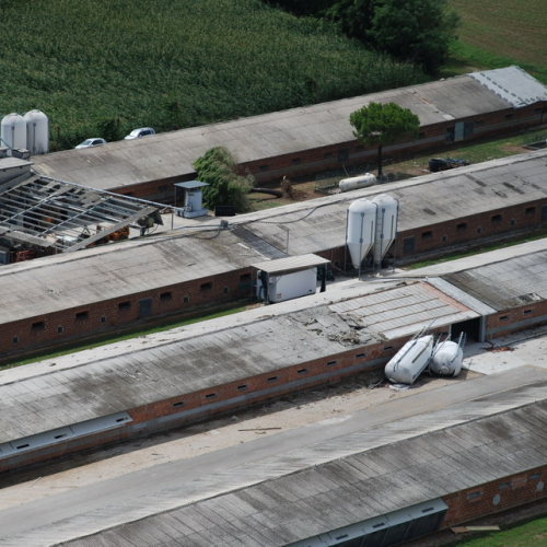 foto aeree n. 23 / 54579