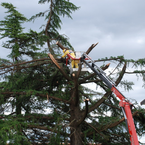 Tromba d'aria a Pavia di Udine n. 28 / 54551