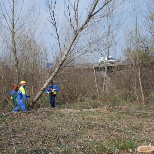 Intervento alveo Torre nelle vicinanze dell'abitato di Salt n. 29 / 78703