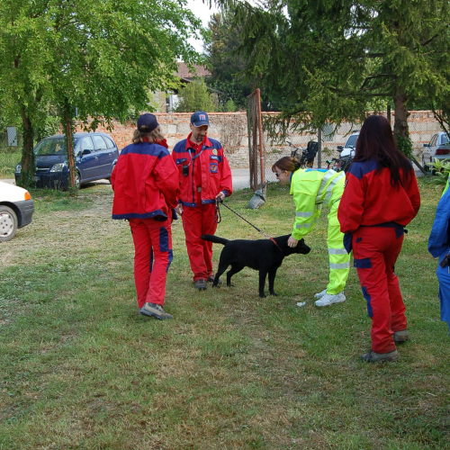 Ruda foto 16: Gruppo Cinofili rientro da ricerca persone / 10472