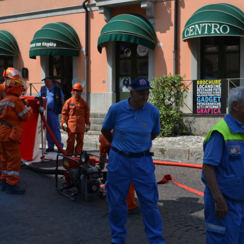 Dimostrazione AIB Cividale del Friuli n. 36 / 110229