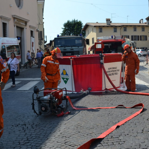 Dimostrazione AIB Cividale del Friuli n. 38 / 110231