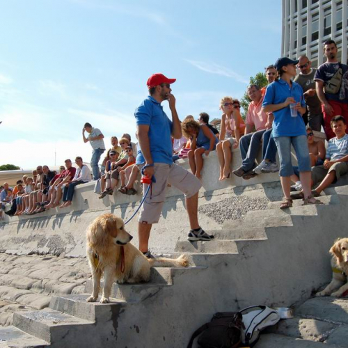 Grado Air Show 2007 18 / 15750