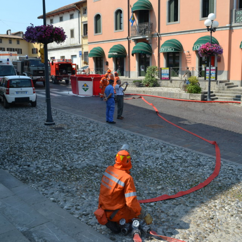 Dimostrazione AIB Cividale del Friuli n. 39 / 110232
