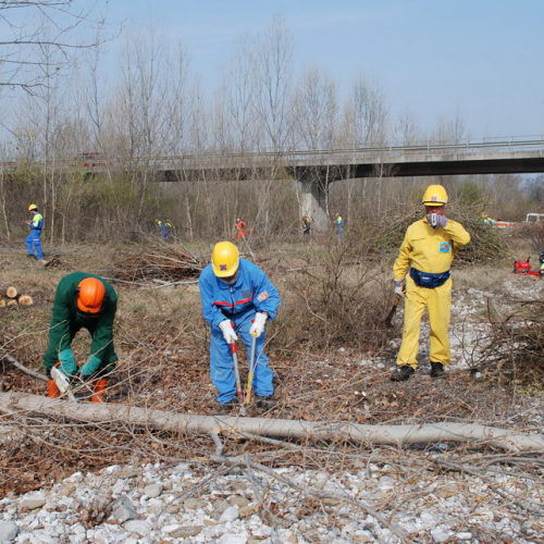 Intervento alveo Torre nelle vicinanze dell'abitato di Salt n. 32 / 78706