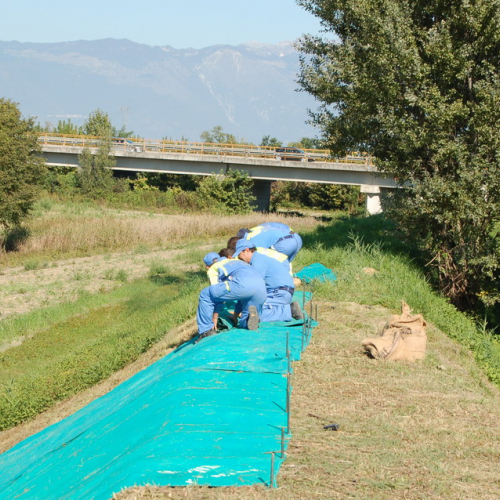 foto Visinale 49 / 17117