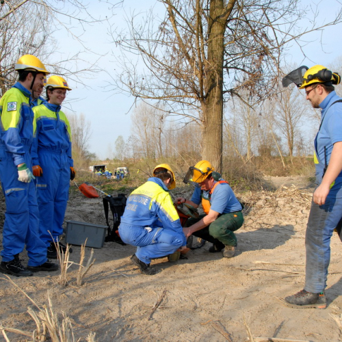 intervento Fiume Meduna Ponte Strada Statale 13 n. 3 / 78427