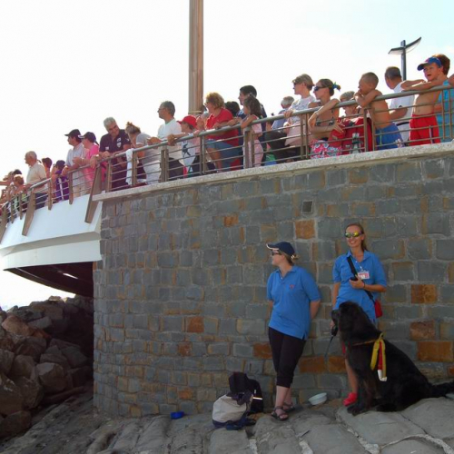 Grado Air Show 2007 21 / 15753