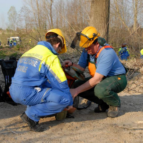 Alvei Puliti 2012 n. 21 / 78222