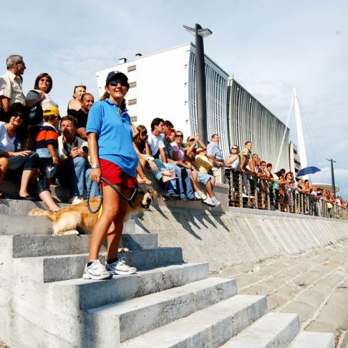 Grado Air Show 2007 22 / 15754