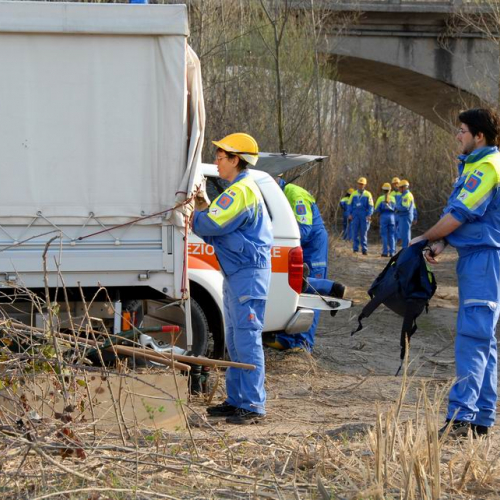 Alvei Puliti 2012 n. 22 / 78223