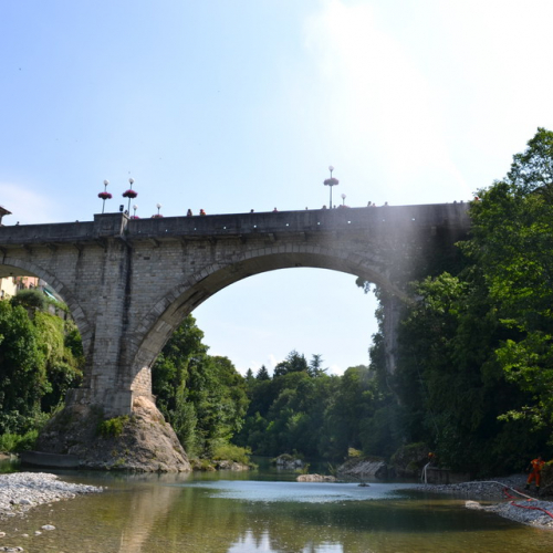 Dimostrazione AIB Cividale del Friuli n. 45 / 110238
