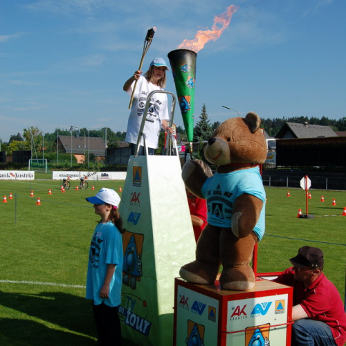 Finale Olimpiadi della Sicurezza n. 22 / 52445