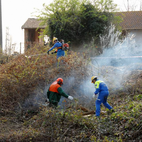 Alvei Puliti 2012 n. 24 / 78225