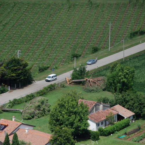 foto aeree n. 30 / 54586