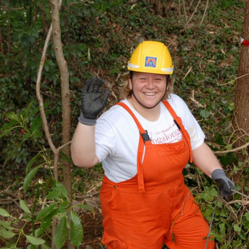 Alvei Puliti 2012 n. 25 / 78226