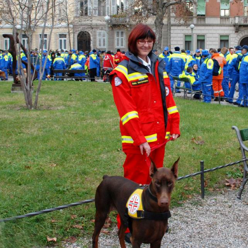 Sfilata e discorsi autorit‡ 20 / 33053