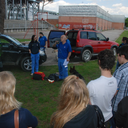 Prova di evacuazione al Malignani n. 37 / 80525