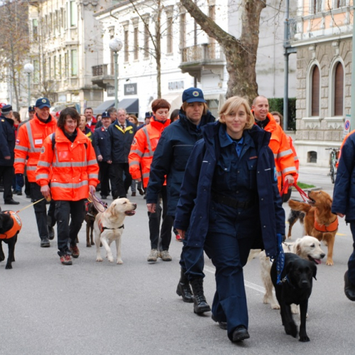 XI^ giornata del volontariato n. 32 / 33436