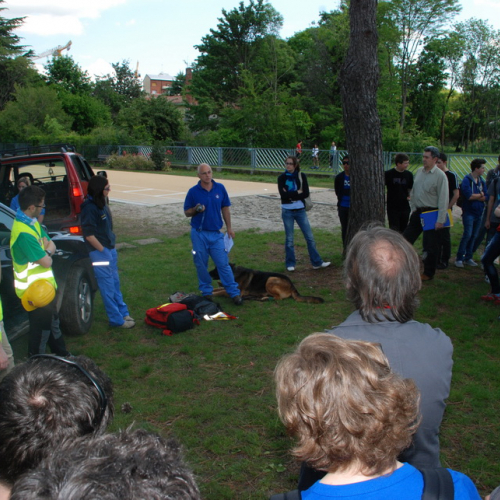 Prova di evacuazione al Malignani n. 38 / 80526