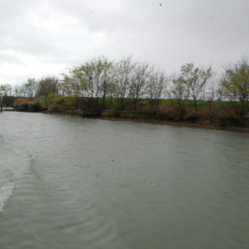 Sopralluogo Assessore del 24/03/14 n. 15 / 105635
