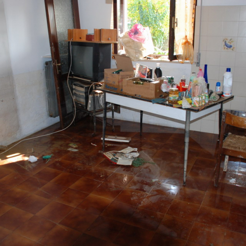 Emergenza Veneto n. 29 / 58045