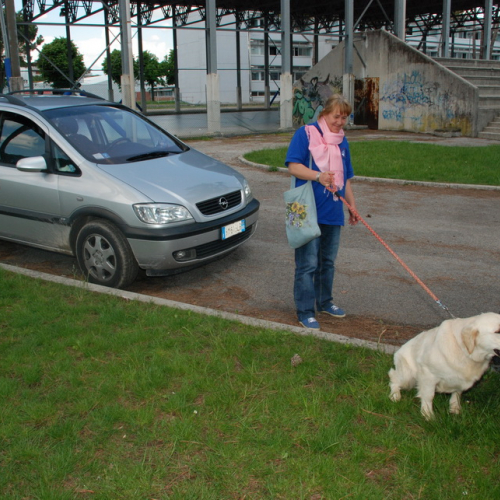 Prova di evacuazione al Malignani n. 39 / 80527