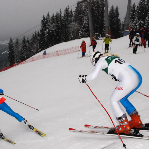 Coppa Europa Sci Disabili n. 25 / 90352