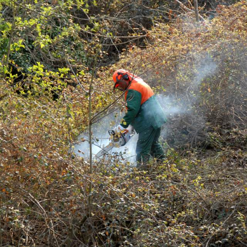 Alvei Puliti 2012 n. 28 / 78229