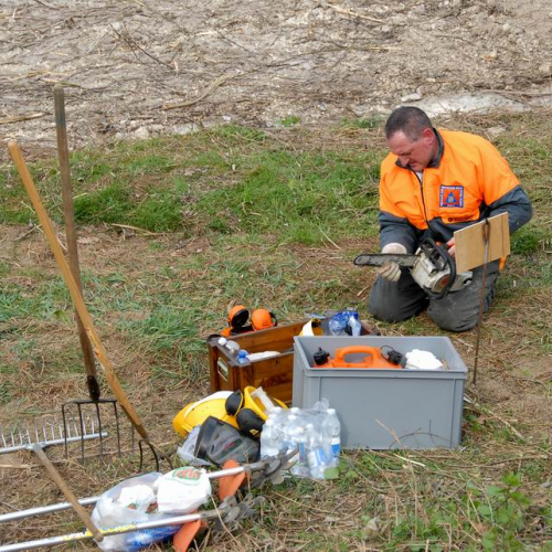 Alvei Puliti 2012 n. 29 / 78230