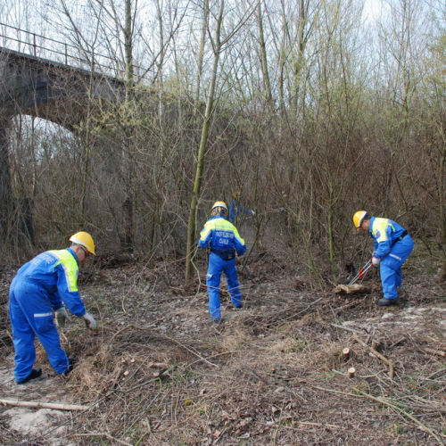 Intervento alveo Torre nelle vicinanze dell'abitato di Salt n. 35 / 78709