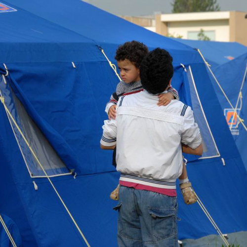 Gallery attivit‡ 24 maggio n. 9 / 81706