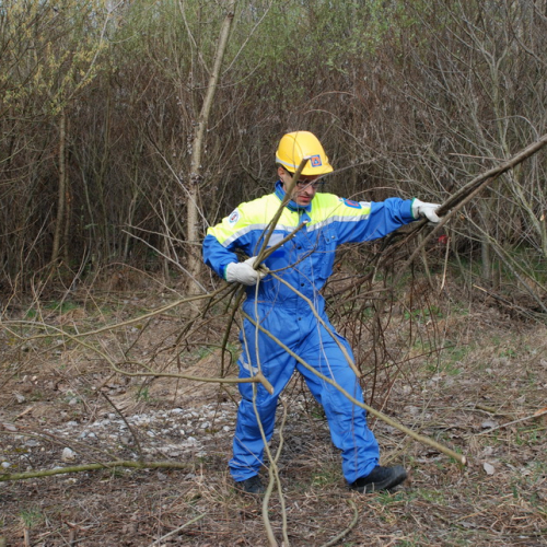 Intervento alveo Torre nelle vicinanze dell'abitato di Salt n. 36 / 78710