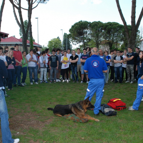 Prova di evacuazione al Malignani n. 41 / 80529