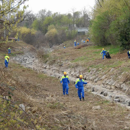 Alvei Puliti 2012 n. 30 / 78231