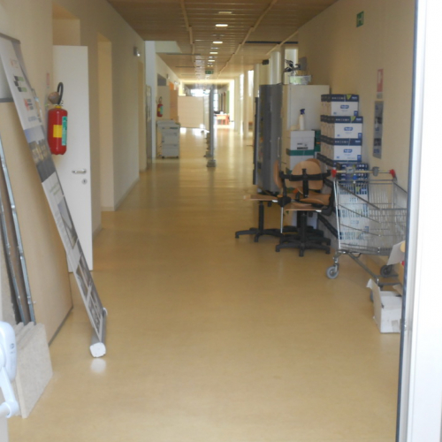 Prova di evacuazione scuola di Mirandola n. 80 / 86888
