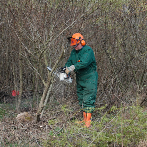 Intervento alveo Torre nelle vicinanze dell'abitato di Salt n. 37 / 78711