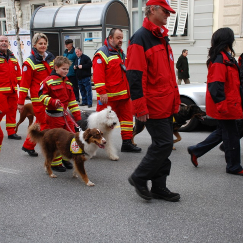 XI^ giornata del volontariato n. 34 / 33438