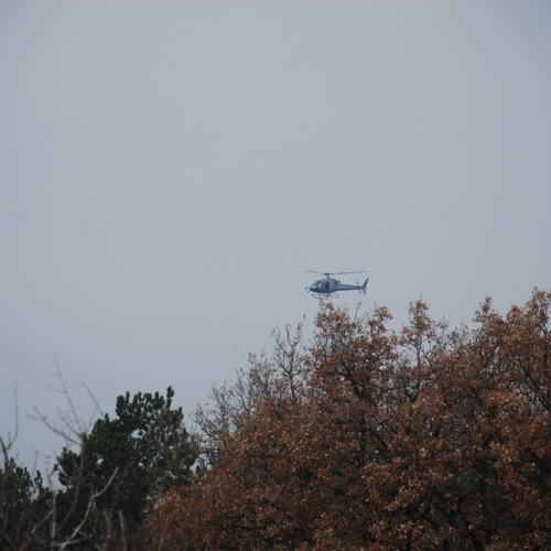 Esercitazione in Val Rosandra n. 36 / 58368