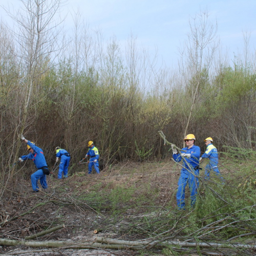 Intervento alveo Torre nelle vicinanze dell'abitato di Salt n. 38 / 78712