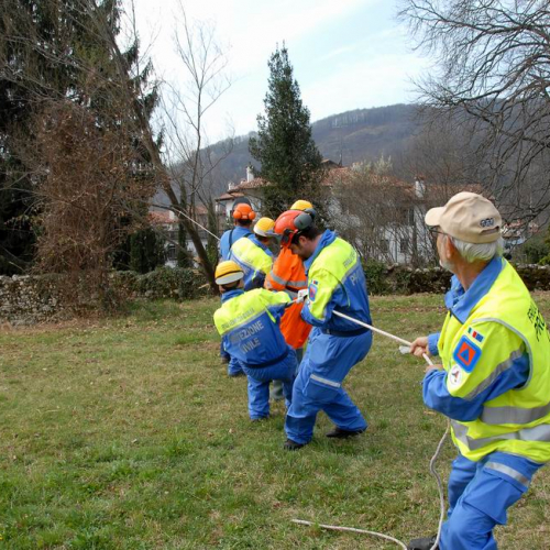 Alvei Puliti 2012 n. 33 / 78234