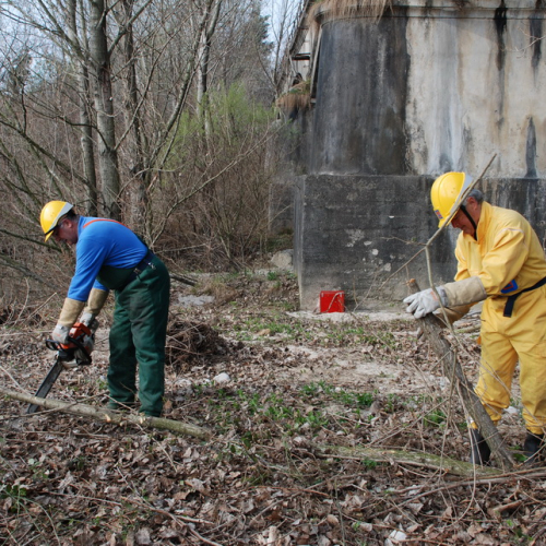 Intervento alveo Torre nelle vicinanze dell'abitato di Salt n. 39 / 78713