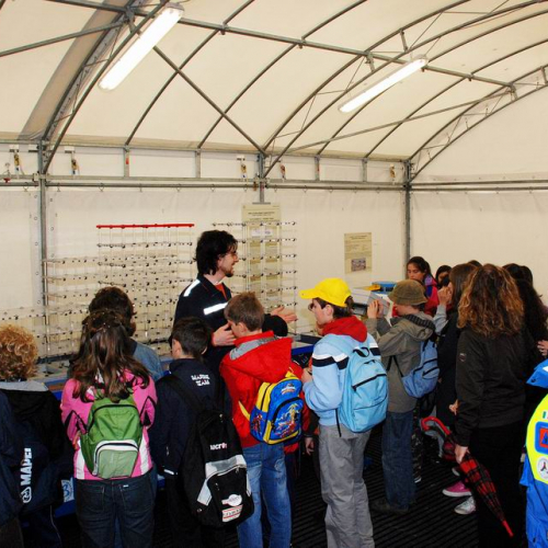 Mostra Terremoti d'Italia" 25""ostra "Terremoti d'Ita""stra "Terremoti""tra "Terr""ra """" / 38931