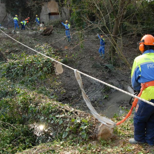 Alvei Puliti 2012 n. 34 / 78235