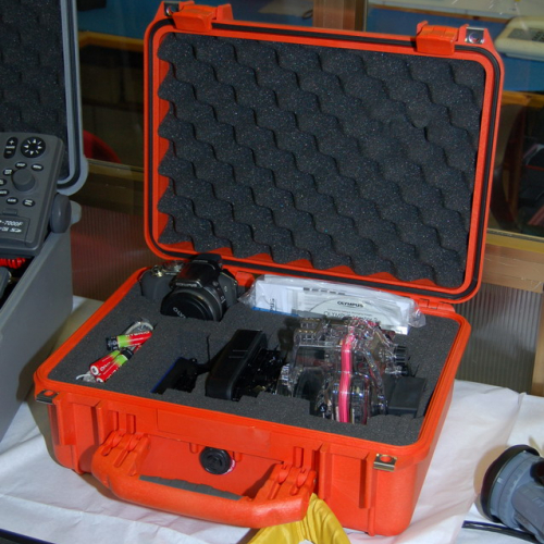 nuove dotazioni acquisite 3 / 18387