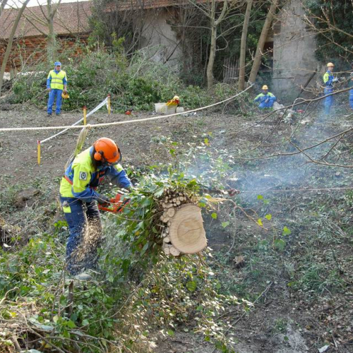 Alvei Puliti 2012 n. 35 / 78236