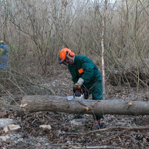Intervento alveo Torre nelle vicinanze dell'abitato di Salt n. 40 / 78714